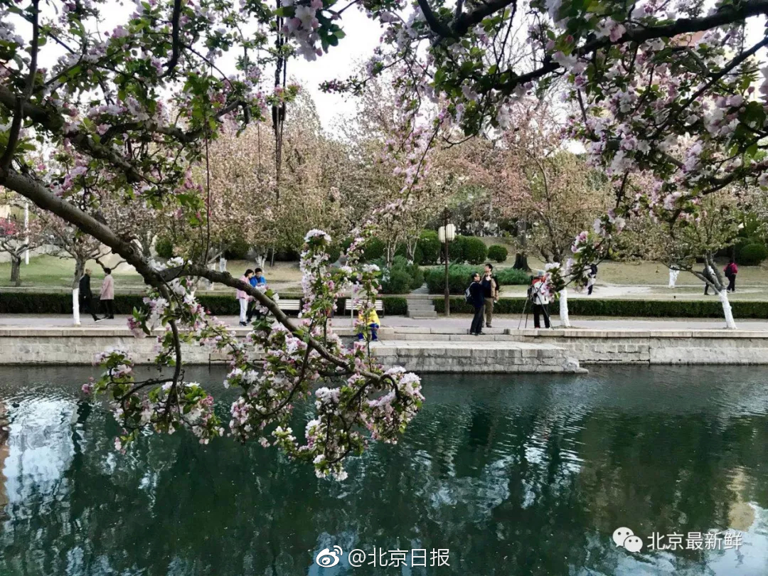 骑士精神2战场什么武器好用