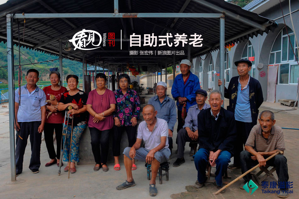 背包英雄为什么回血的青蛙怎么难打