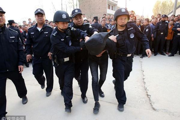 征服之歌巴里亚派系怎么样