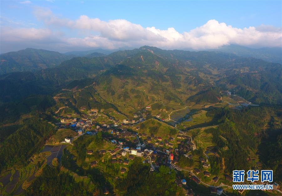 地心护核者吸血鳗有什么用