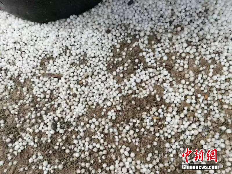 [bet365备用网址]